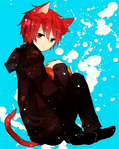 Kawaii Guy With Ears Anime Cat Boy Anime Guys Anime Neko