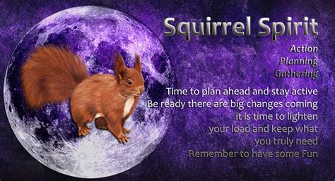 Squirrel Spirit Animal Spirit Guide Spirit Animal Squirrel