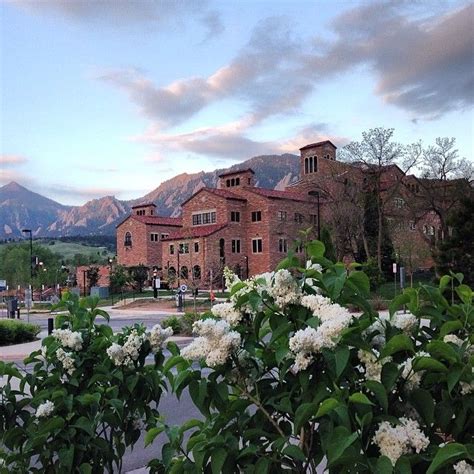 Good Morning From Cuboulder Heres To A Great Day University Of