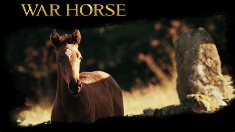 War Horse War Horse The Movie Wallpaper 28220233 Fanpop
