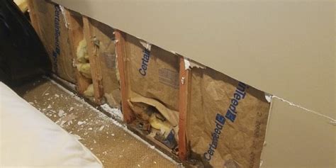 Drying Drywall After Water Damage 5 Effective Diy Steps