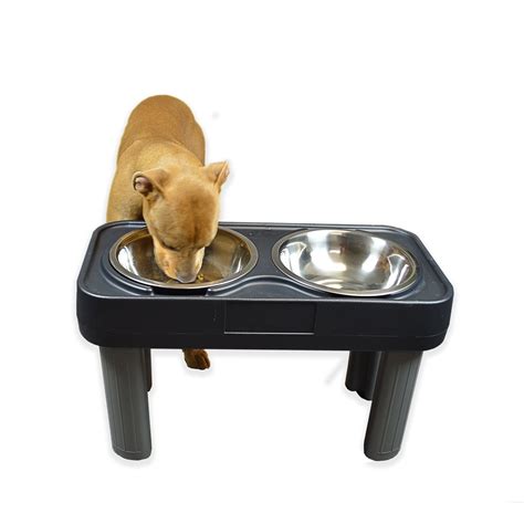 Our Pets Big Dog Feeder Elevated Dog Bowls 16 Inch Great Elevated Dog