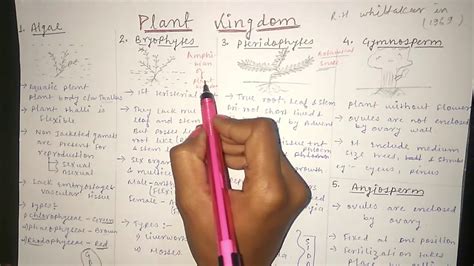 Plant Kingdom Classification Short Notes Biology Class 11 Neet