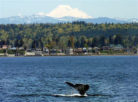 Tulalip Tribes Looking At Climate Change From The Mountains To The Sea