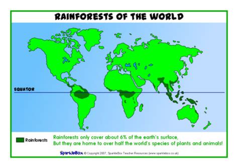 Tropical rainforest & temperate rainforest. Related Items