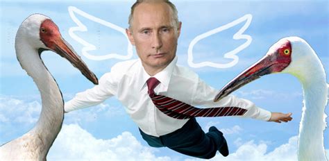 vladimir putin pilots hang glider in attempt to lead siberian crane migration mother jones