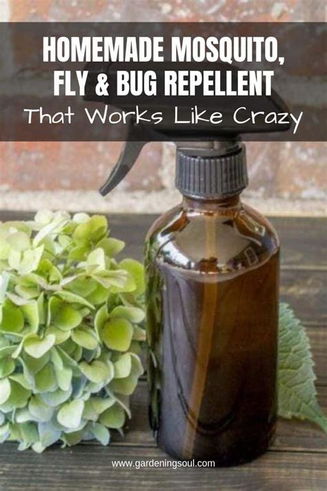 Homemade Mosquito Fly Bug Repellent Gardening Soul