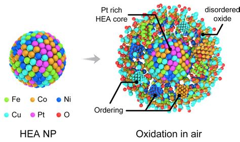 High Entropy Alloy Nanoparticles Show Excellent Resistance To Oxidation