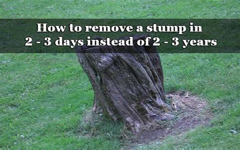 Stump removal chemicals are relatively cost effective. How to remove a stump in 2 - 3 days instead of 2 - 3 years