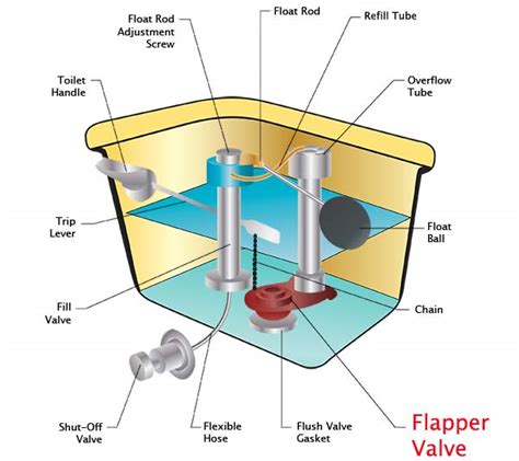 Flapper Valve Toilet Glossary Toiletology