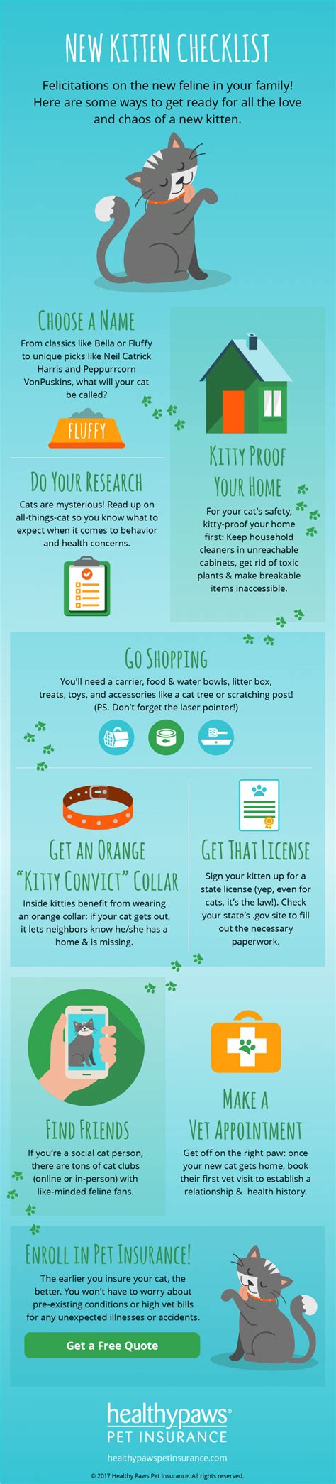 new kitten checklist a guide to preparing for a new kitten kitnipbox