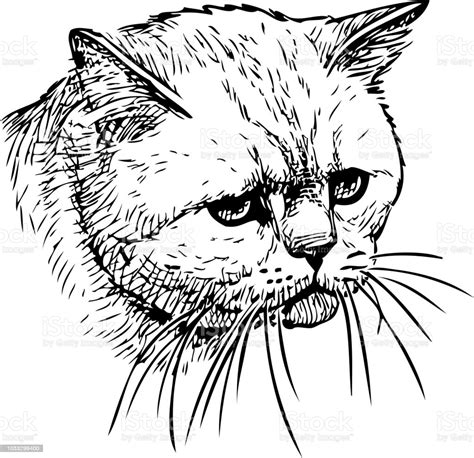 A Portrait Of A Sad Cat Stock Illustration Download