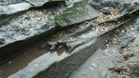 Deadmans Island Reveals The Grisly History Of Kent Bbc News