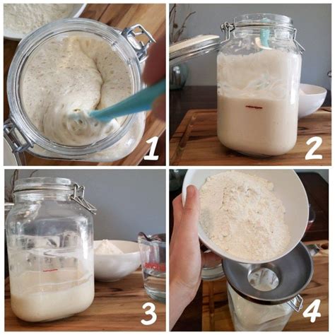 how to make your own sourdough starter recipe sourdough starter sourdough nutrition recipes