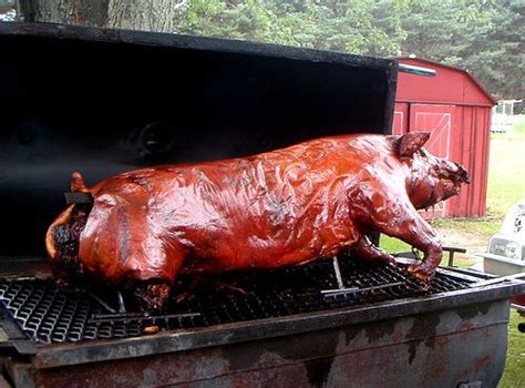 Roasted Pig On Grill Above Ground How To Video Pig Roast Recipes