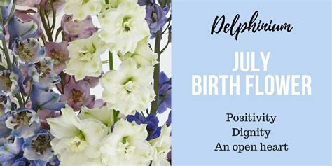 We've looked all over for your birth month flower, and ultimately turned to the farmer's almanac﻿ to determine which flowers are assigned to each month in the year. Pin by Vandanasahgal on flowerpower | Birth flowers, July ...