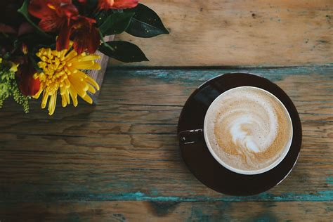 Check spelling or type a new query. White Birch Provisions: North Georgia's Best Coffee Shop