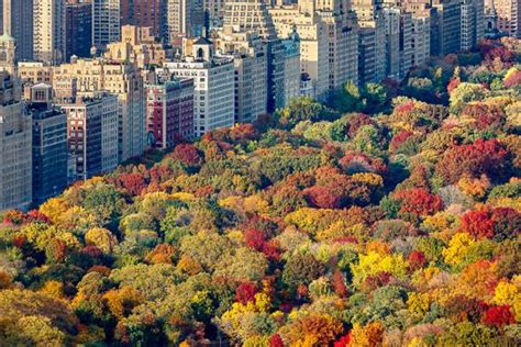 Some Of The Best Things To Do In Nyc In Autumn New York Habitat Blog