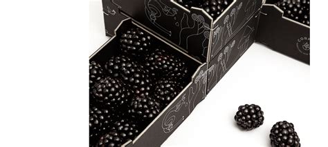 Corphes Blackberries Packaging On Behance