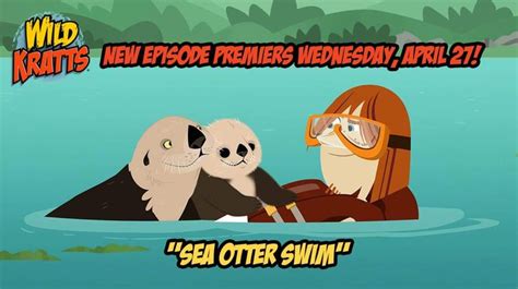 Sea Otter Swim Teaser Sea Otter Wild Kratts Otters
