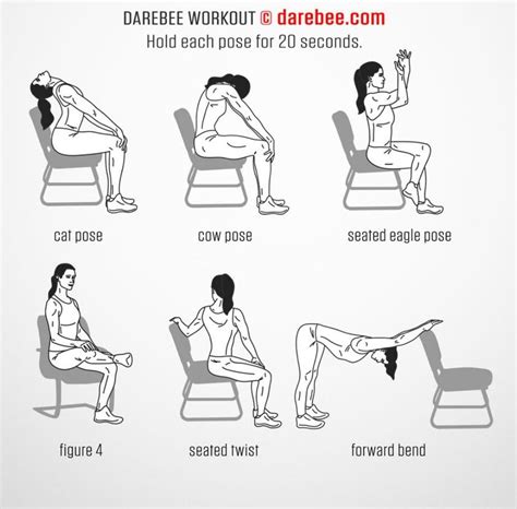 Chair Exercises Low Back Pain