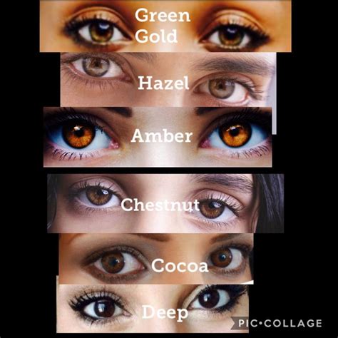 different shades of brown eye color shades of brown eyes eye color chart amber eyes color
