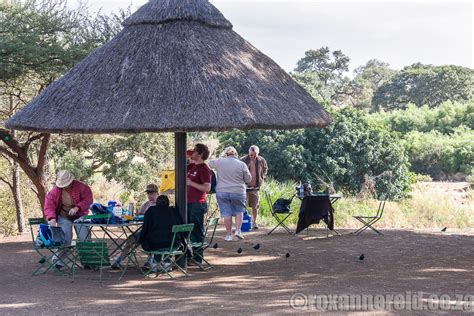 15 Things To Do In Northern Kruger National Park Roxanne Reid