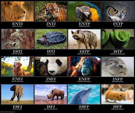Myers Briggs Personality Types Mapped To Animals Mbti Animals Mbti