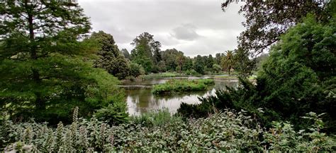 Royal Botanic Gardens Victoria And St Kilda Botanical Gardens Melbourne