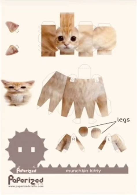 The Paper Doll Is Made To Look Like A Cat