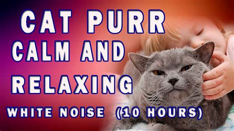 They are some of the most powerful healers out there. Cat Purr for Healing. 10h of Cat Purring Relaxing Sounds ...