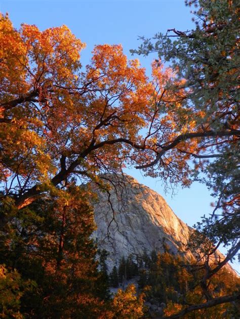 San Bernardino National Forest Foundation