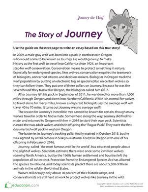 This worksheet introduces kids to the fascinating true story of Journey