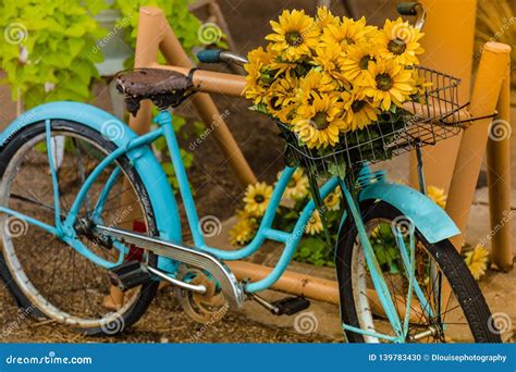 Retro Bike With A Flower Basket Stock Photo Image Of Basket Flower