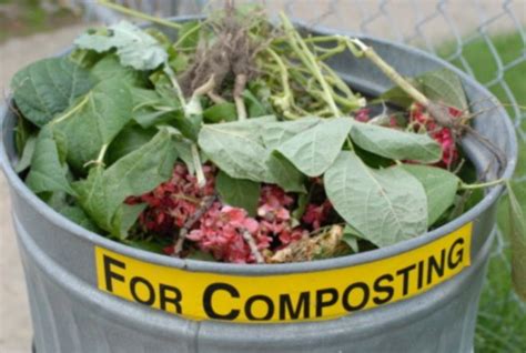 Composting 101 Five Tips To Get Started How To Make Compost Organic