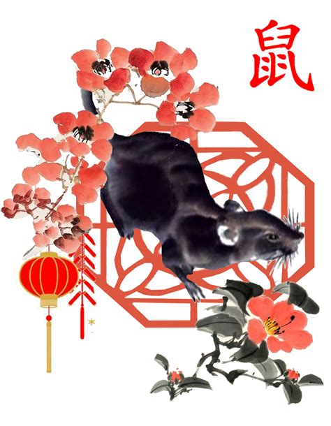 omelette du collage a small series i ve been working on to celebrate the lunar year inspired