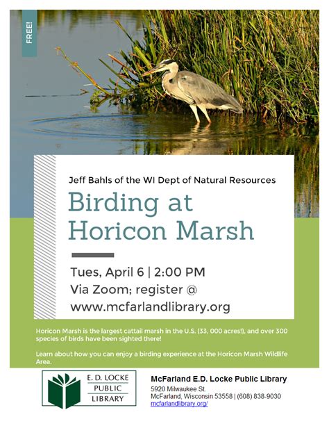 Horicon Marsh Birding Ed Locke Public Library