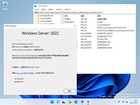 Windows Server 2025100225181012rs Prerelease Flt211205 1700