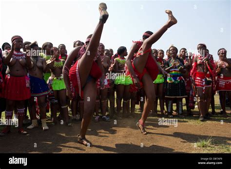 Zulu Maidens Zulu Reed Dance Stockfotos Und Bilder Kaufen Alamy