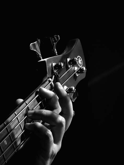 🔥 Download Bass Guitar Pictures Hd Image By Allisonmorgan Guitar Music Wallpapers Awesome