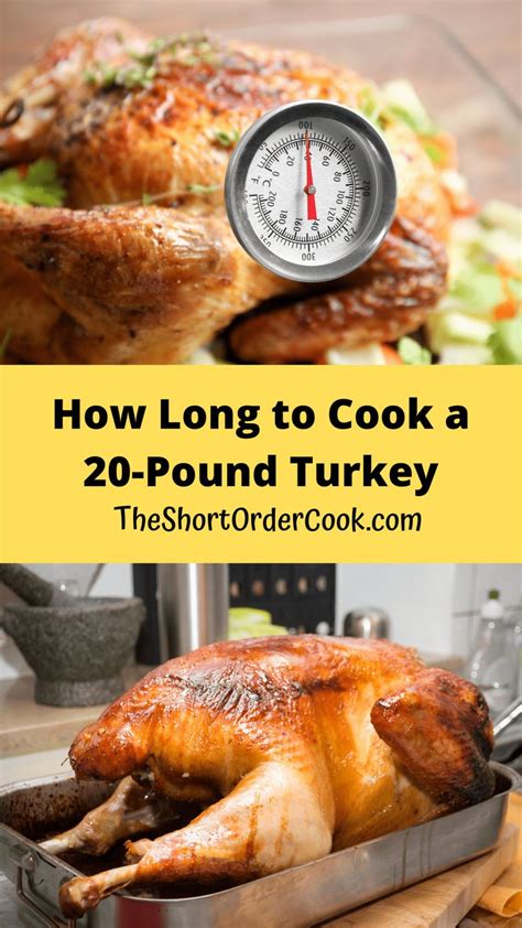 How Long To Cook A 20 Pound Turkey The Short Order Cook Turkey Cooking Times Turkey Recipes
