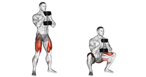 How To Do Goblet Squat Exercise Benefits And Variations Fitness Volt