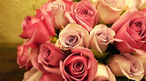 3840x2160 Pink Roses Bouquet 4k Hd 4k Wallpapers Images Backgrounds