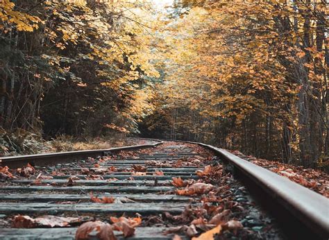 Upstate New York Scenic Fall Foliage Train Rides