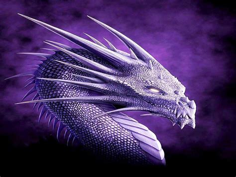 Purple Dragon Wallpapers Wallpaper Cave