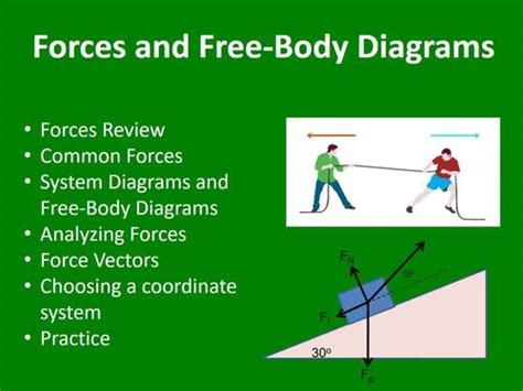 Forces And Free Body Diagrams A Physics Powerpoint Lesson And Notes