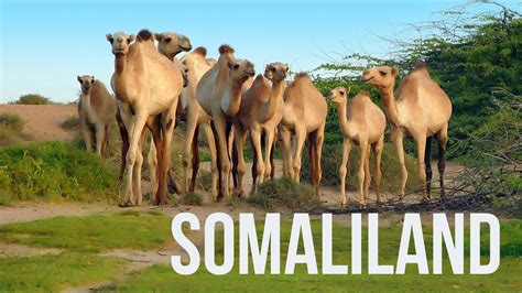 They are a very unpopular country, probably due to the fact that they generally don't appear on world maps and aren't part of the un. Somaliland, Somaliland History, Travel, Culture, Tourism ...