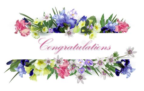 Congratulations With Spring Flowers Stock Illustration Illustration