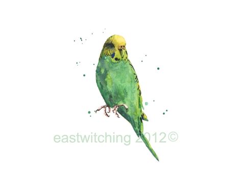 Green Parakeet Print Green Budgie Budgerigar Art Birdie Etsy