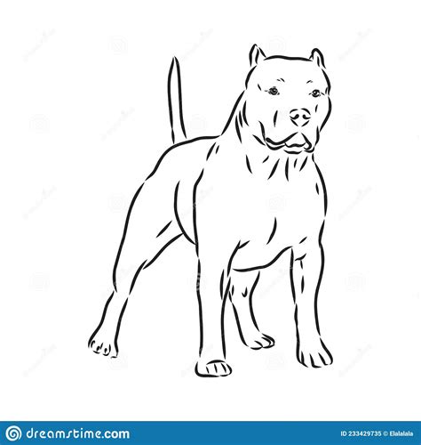 Vektorskizze Zum Zeichnen Von Pitbull Barking Git Bull Terrier Hund
